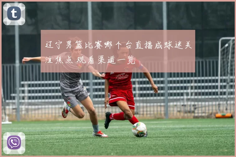 辽宁男篮比赛哪个台直播成球迷关注焦点 观看渠道一览