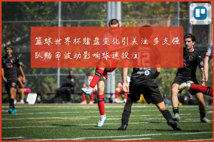 篮球世界杯赌盘变化引关注 多支强队赔率波动影响球迷投注