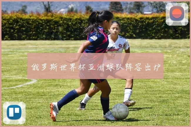 俄罗斯世界杯亚洲球队阵容出炉