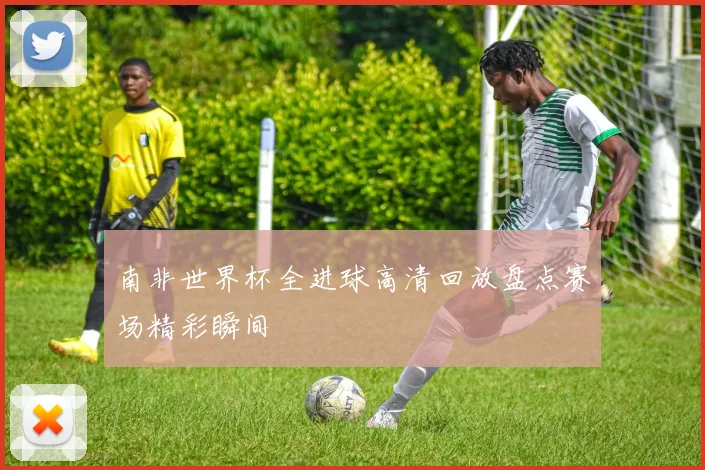 南非世界杯全进球高清回放盘点赛场精彩瞬间