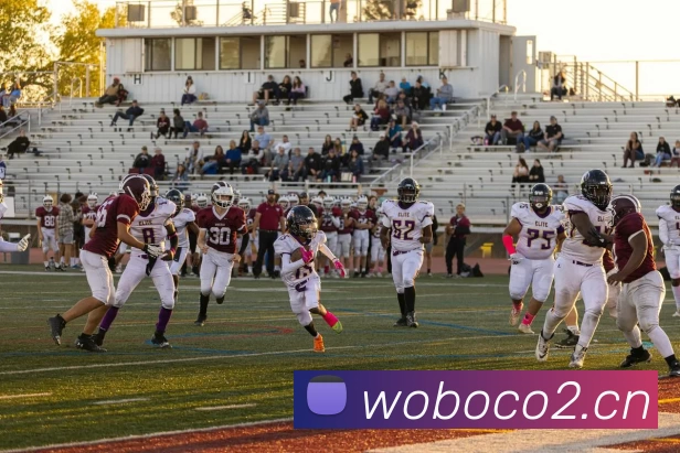 压球首页平台生态图